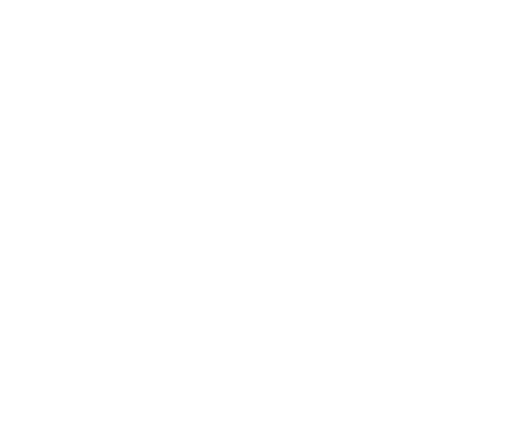 BBQ & Fire Pit